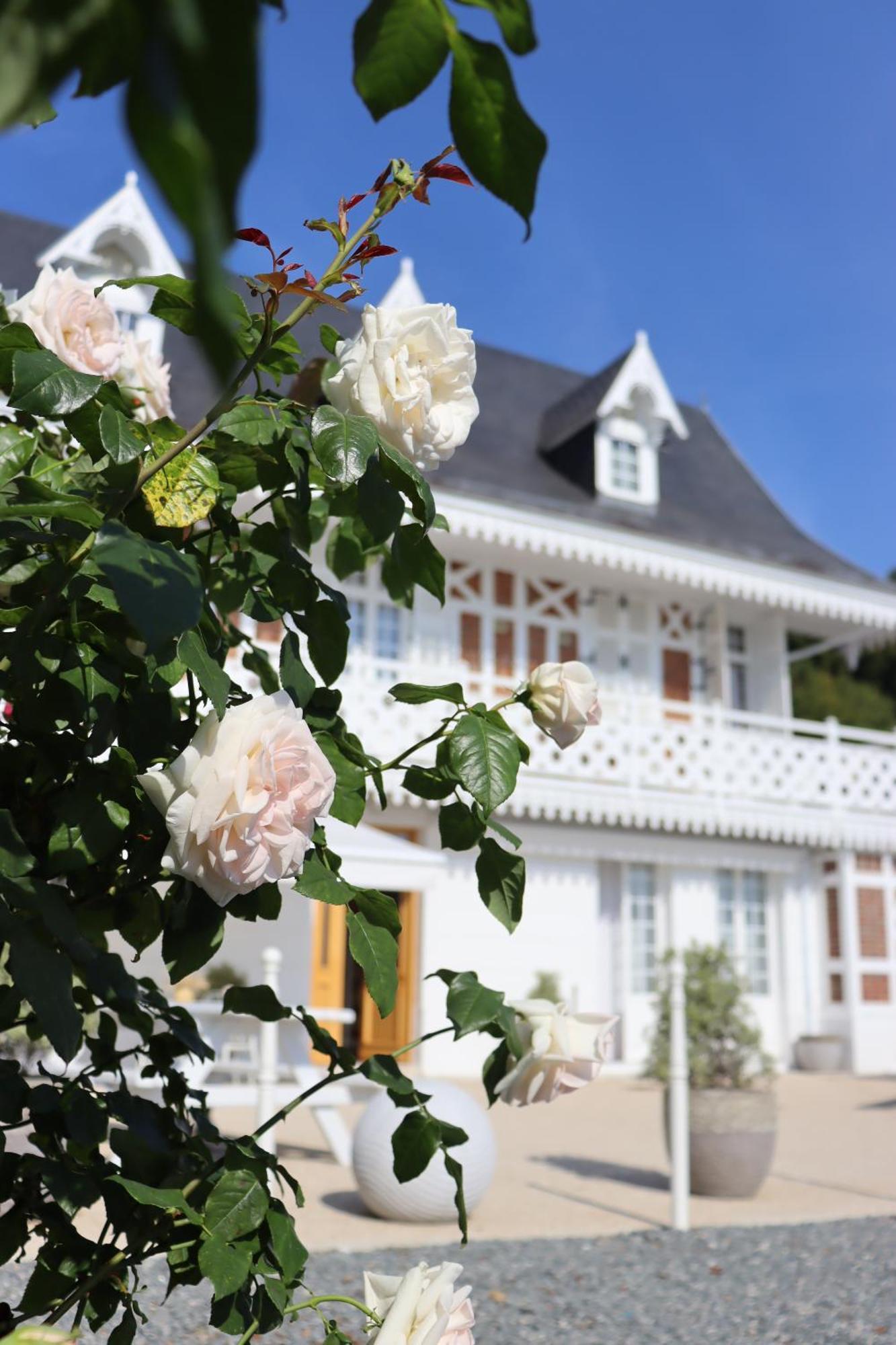 White House, Maison D'Hotes Hotel Villequier Bagian luar foto